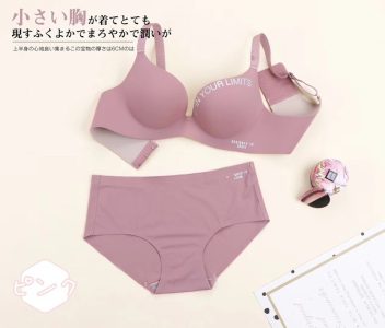 Spend your limit bra panty set - Image 3