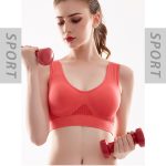 Low net sports bra