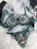 Honeymoon Transparent Bra Panty Set - Image 10
