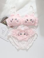 Premium Quality Cat Style Bra Panty Set - Image 6